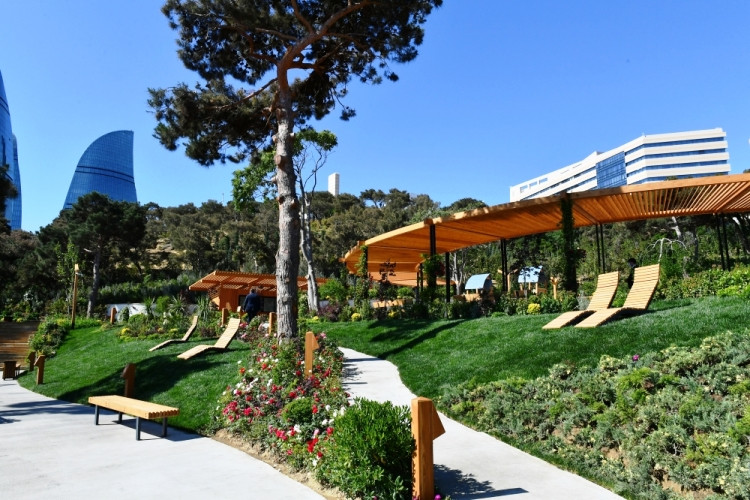 Bakının park və həyətləri yenilənəcək