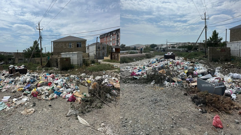 Masazırda zibil həftələrlə daşınmır - ərazini siçovullar bürüyüb