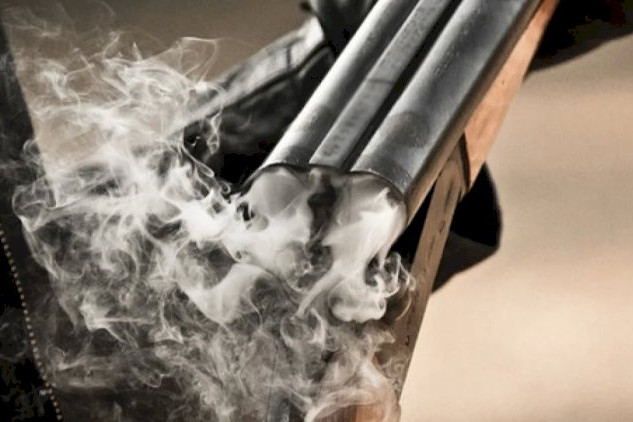 Bakıdakı dəhşətli qardaş qətlinin təfərrüatları