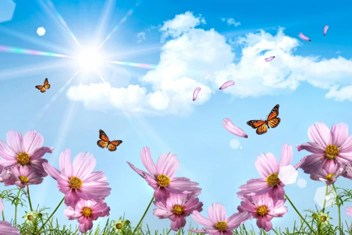 Sabah Bakıda 17 dərəcə isti olacaq