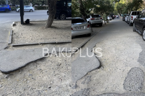 Bu küçə qaranlığa qərq olub, piyada yolu isə yararsızdır