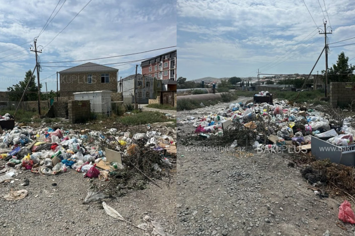 Masazırda zibil həftələrlə daşınmır - ərazini siçovullar bürüyüb