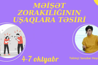 Bakıda məişət zorakılığının təsirləri haqqında təlim keçiriləcək