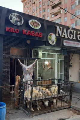 Bakı: iki rayonda qanunsuz işləyən müəssisələr aşkarlanıb