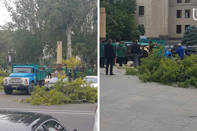 Bakı: Səməd Vurğun parkında ağac avtomobillərin üzərinə aşıb