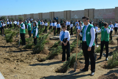 Bakıda Anım gününə həsr olunmuş ağacəkmə aksiyası təşkil olunub