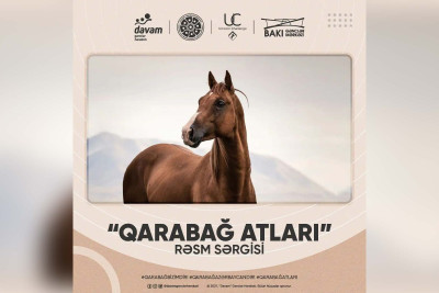 Bakıda "Qarabağ atları" adlı rəsm sərgisi baş tutacaq