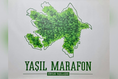 Bakı və Abşeronda 800 minə yaxın ağac əkiləcək