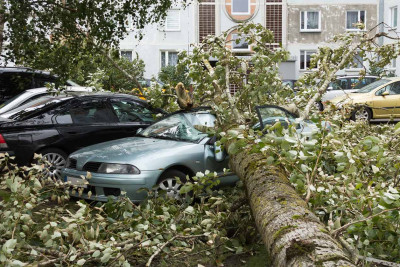 Bakıda küləkli hava fəsadlar törədib