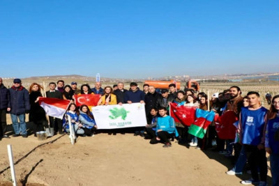 Bakıda 6 qurumun iştirakı ilə ağacəkmə aksiyası keçirilib