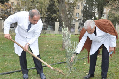 Bakıda Zəfər gününə həsr olunan yaşıllaşdırma aksiyası baş tutub