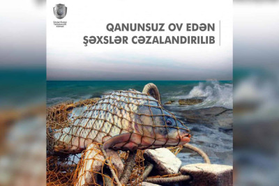 Bakı və Lənkəran şəhər sakinləri olan 2 brakonyer yaxalanıb