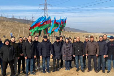 Mədəniyyət naziri ağacəkmə aksiyasında iştirak edib