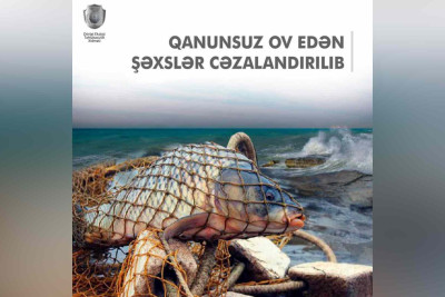 Xəzər dəniz sahilərində 4 brakonyer saxlanılıb