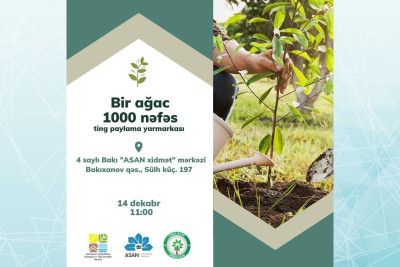 Bakıxanov qəsəbəsində vətəndaşlara ağac tingləri paylanacaq