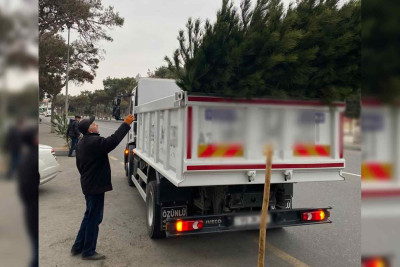 Xəzər rayonu ərazisində yeni ağaclar və güllər əkilir