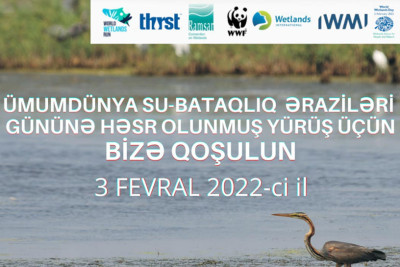 Dənizkənarı Milli Parkda beynəlxalq qaçış/yürüş kampaniyası təşkil ediləcək