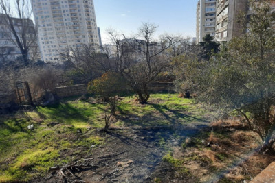 Xətai: Gəncə prospektində ağacların zədələndiyi sahə nəzarətə götürülüb