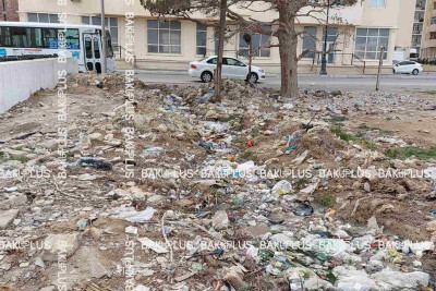 Qaradağ rayonunda yeni tikili binaların arasında antisanitariya hökm sürür