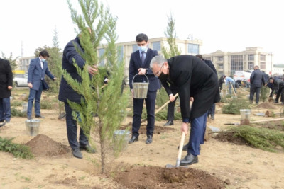 Bakının üç rayonunda Xocalı şəhidlərinin əziz xatirəsi əbədiləşdirilib