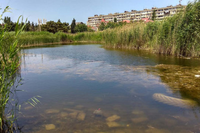 Bakıda daha bir park baxımsız vəziyyətdə qalıb