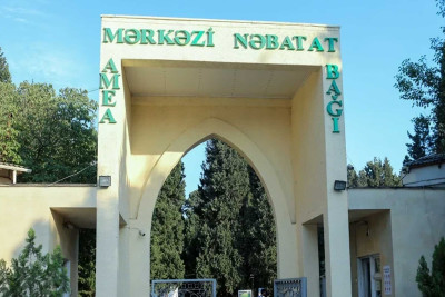 Nəbatat Bağı ərazisində restoran və avtotəmir sexləri fəaliyyət göstərir: baş direktor məsələyə aydınlıq gətirib