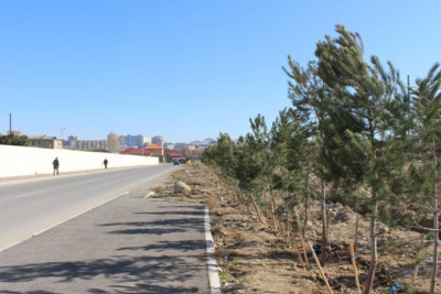 Yüksək Texnologiyalar Parkının ətrafı tullantılardan təmizlənib