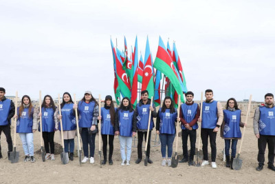 Bakıda “Yaponiya-Azərbaycan Dostluq İli 2022” çərçivəsində ağacəkmə aksiyası keçirilib