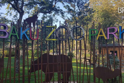 Bakı Zooparkı bayram günlərində işləyəcək: iş qrafikini təqdim edirik
