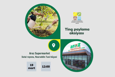 Xətai: Nəsrəddin Tusi küçəsində ağac tingləri paylanacaq