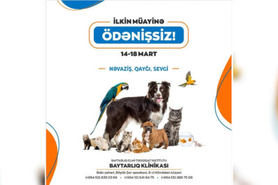 Bakıda heyvanlar pulsuz müayinə olunacaq