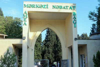 Nəbatat bağında bina hər an dağıla bilər