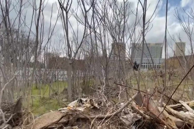 Bakıda 10 ildir hasarlanan ərazi baxımsız hala düşüb