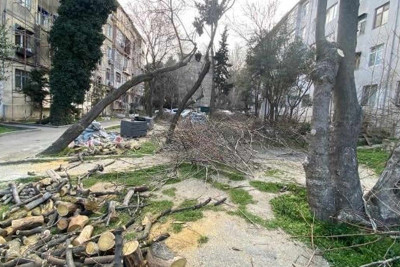Nəsimi rayonunda abadlıq işləri davam edir