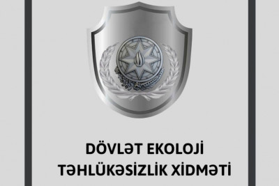 Nəsimi rayonunda ağacları zədələyən sakinə cərimə yazılıb