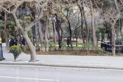 Paytaxtda yaşıllaşdırma işləri davam etdirilir