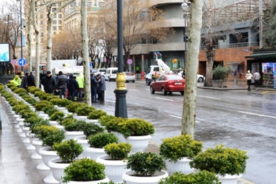 Novruz gəlir, yaz gəlir: bayram ərəfəsində Bakıda abadlıq işləri aparılır