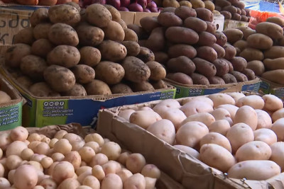 Bakıda bazarda satılan kartofun qiyməti artıb