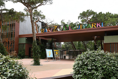 Bakı Zooparkında avtomobil park etmək müşkül məsələyə çevrilib