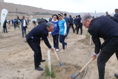 Bakıda Heydər Əliyevin anadan olmasının 99-cu ildönümü münasibətilə yaşıllaşdırma aksiyası baş tutub