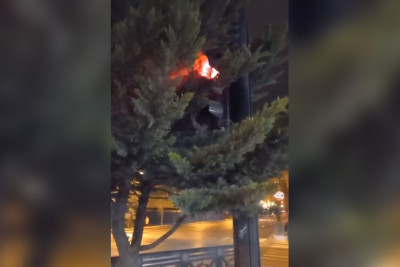 Azadlıq prospektində işıqfor ağacların arasında “gizlənib”