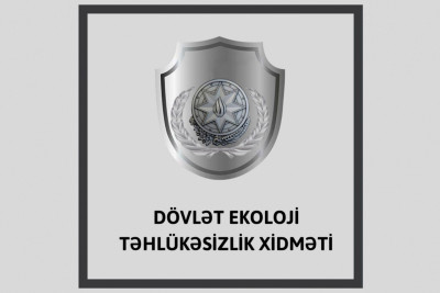 Suraxanı: Qaraçuxur qəsəbəsində ağacları kəsən şirkət aşkarlanıb