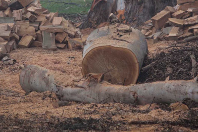 Suraxanı rayonunda tikinti şirkəti təbiətə 3600 manat məbləğində ziyan vurub