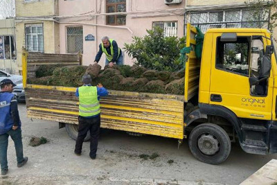 Nəsimi rayonunda məhəllədaxili yollarda asfalt örtüyü dəyişilir
