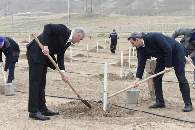 Xocəsəndə “Yaşıl Marafon 2022” kampaniyasına Ombudsman Aparatı da qoşulub
