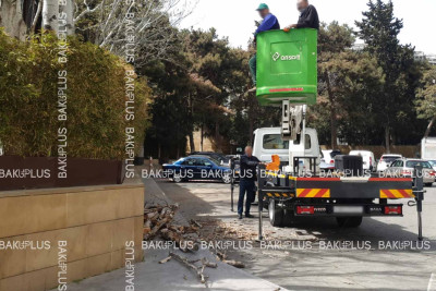 Bakıda abadlıq işləri: Səbail rayonunda ağaclar budanır