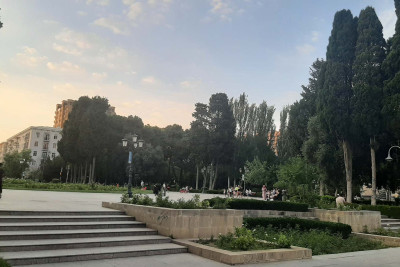 Səməd Vurğun parkında su yoxdur: yaşıllıqlar məhv olur