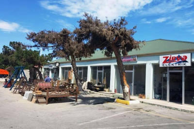 Ticarət obyektlərinin yaxınlığındakı ağacların qurudulmasının qarşısı alınıb