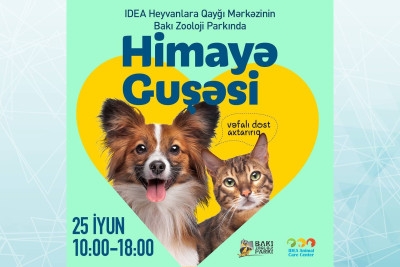 Heyvanları himayəyə götürmək istəyənlərin nəzərinə: Bakı zooparkında sahibsiz ev heyvanları sərgilənəcək