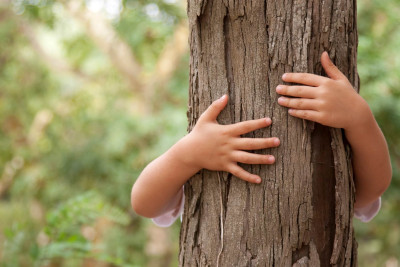 Bakıda FHN işçiləri ağacdan düşə bilməyən uşağa köməklik göstərib